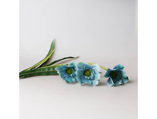 ����� ����� ��������, �����, 29291 130�.jpg