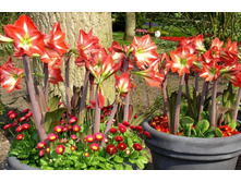 ��������� � ����2.jpg