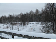IMG 1338.JPG