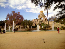 IMG 20160109 150629 HDR.jpg