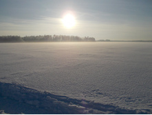 2016-01-16 08 cr.jpg