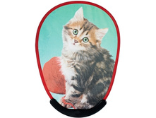 ��� ����5.jpg