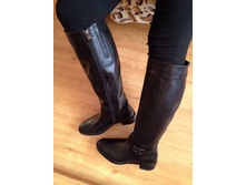 441 ���� ������