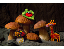 �������