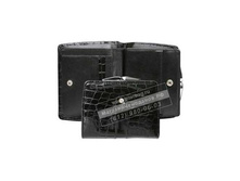 P-51-L21-132 �������� ������� ������� ������ �����.jpg