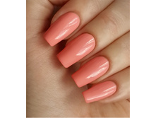 285-90 ���.jpg