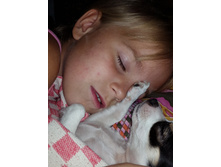 ����� ����