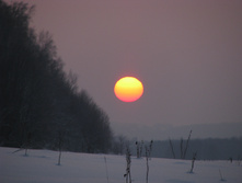 IMG 6013.jpg