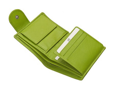 �������� - ����̣� ������� 3036 l green ���.JPG