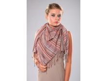 FR-50-16. �������. 100�100. Gi-an-fr-an-co Fe-rr-e. ������. 2772 ���.jpeg