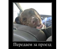 ����� ������������.jpg