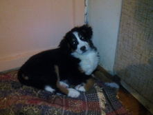 IMG 20160122 192756.jpg