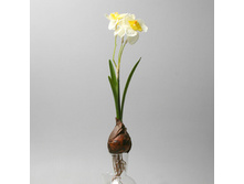 �������� ����� , ���. 029-1 105�.jpg