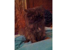 IMG 20160109 165831.JPG