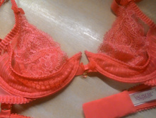 P 20160125 194730 NT.jpg