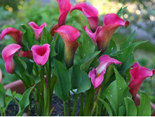 ����� ������� ��������� ���. ����.jpg