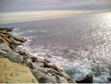 IMG 20160109 132313 HDR.jpg
