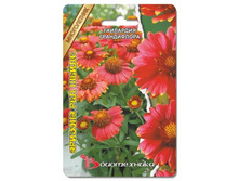 ��������� ����������� ������� ��� �����. 8 ��. 30 ���.jpg