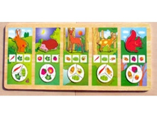 8035 ��� ��� ��������