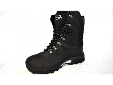 Phoca thumb l 1833 57.jpg