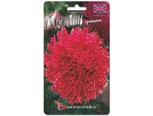 ����� ��������� c���� ������ ������. 70 ��. 14 ���.jpg