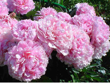 ���� ���� ������ ���. ����2.jpg