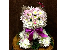 �������-004