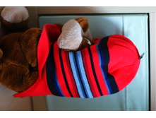 ���� ����������