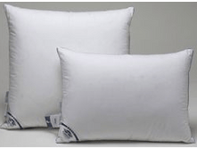 ������� ��� ������  ���� 2 ���. ����� ���������