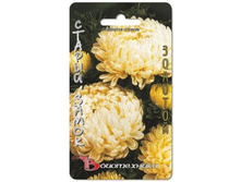 ����� ��������� c���� ������ ����� �������. 70 ��. 9 ���.jpg