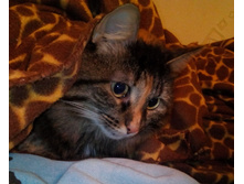 IMG 20160106 223250.JPG