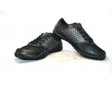 Phoca thumb m 1535 1.jpg