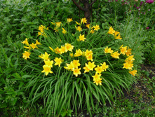 ��� ��� ��������� �������� � ����2