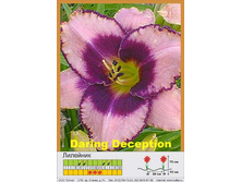 �������� Daring Deception ���� 1 �� 163�.00�.