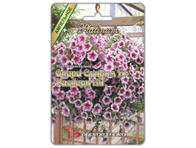 ������� ��������� F1 ����� ������ ������� ��. 5 ��. 85 ���.jpg