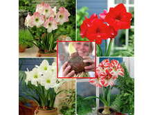 ��������� ����3.jpg