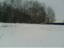 IMG 20160112 152128.jpg