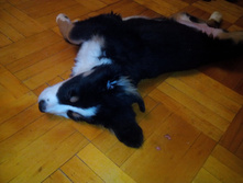 IMG 20160119 222409.jpg