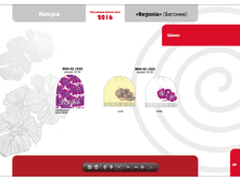 �������� ����