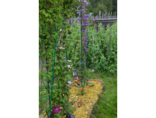 ���������� (6).JPG