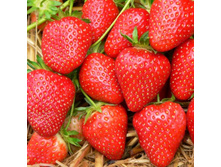 ��������� ������� ��������.jpg