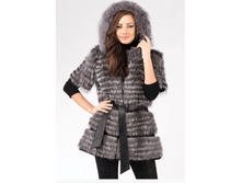 ���� 9950 �.