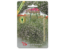 ��������� ������ ����� ����. 4 ��. 40 ���.jpg