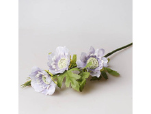 ������ �����, 9129 85� ����� ���� 65�