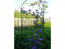 ��������� (2).JPG