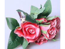 ����� ���� ����� ������� (6 ���) 19658 160�.jpg