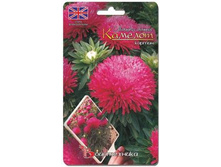 ����� ��������� ����� ������� ������. 40 ��. 18 ���.jpg