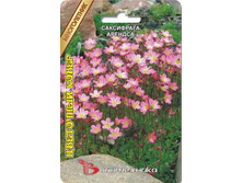 ���������� ������� ��������� �����. 100 ��. 18 ���.jpg