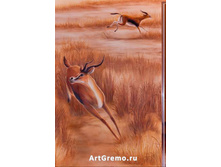 ������� ���� � ������ ���������