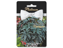 ������� ��������� ������. 3 ��. 66 ���.jpg